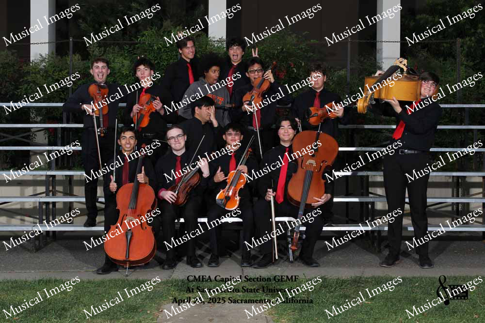 Musical Images